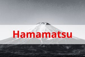 Picture immigration bureau Hamamatsu