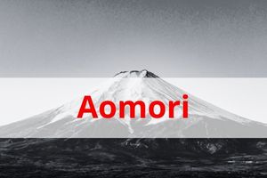 Picture immigration bureau Aomori