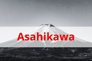 Picture immigration bureau Asahikawa