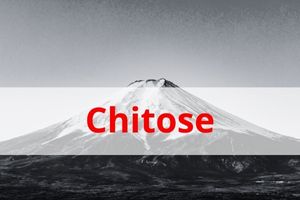 Picture immigration bureau Chitose